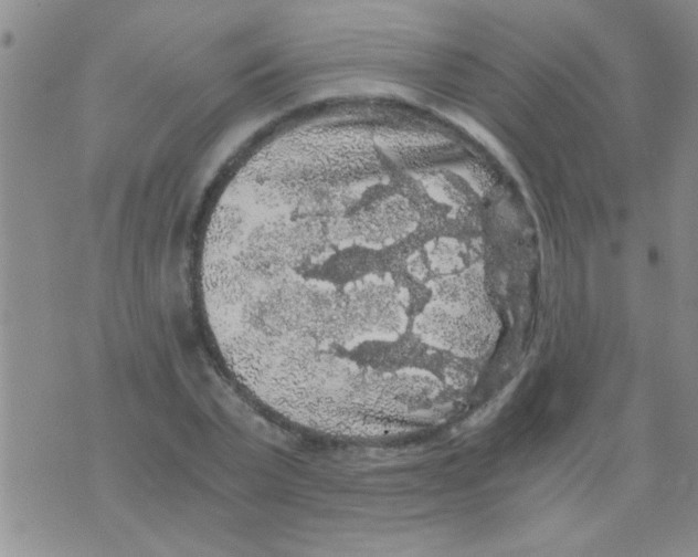 X0000075920783200610151905