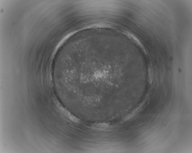 X0000075920784200610151905