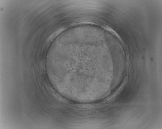 X0000075920785200610151905