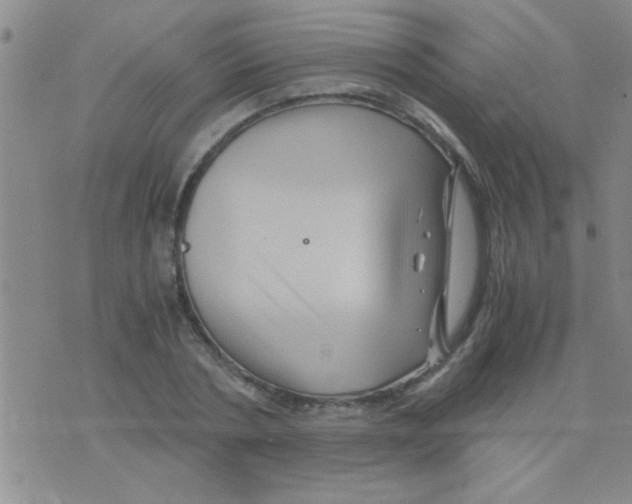 X0000075920786200610151905