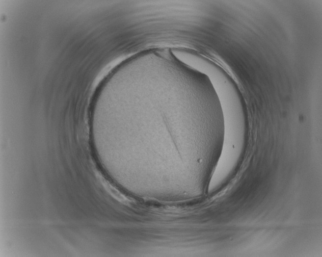 X0000075920787200610151905