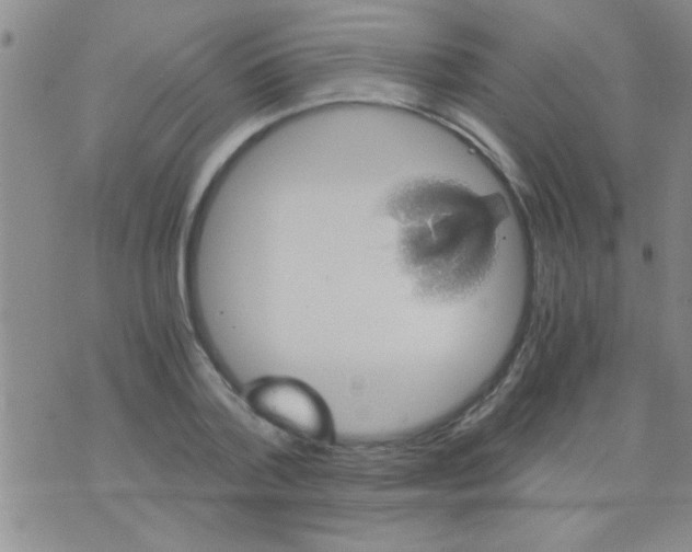 X0000075920788200610151905