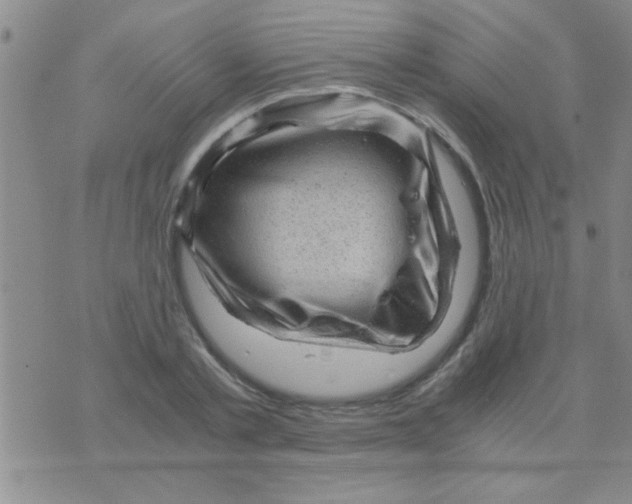 X0000075920789200610151905