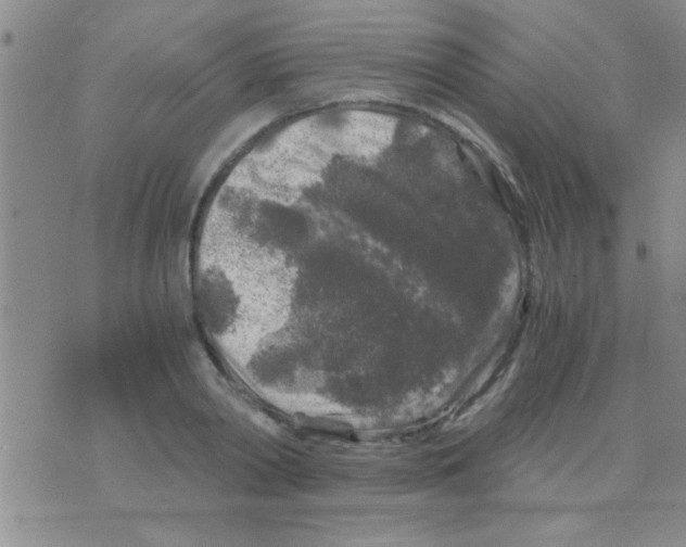 X0000075920790200610151905