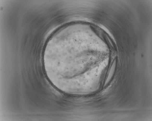 X0000075920791200610151905