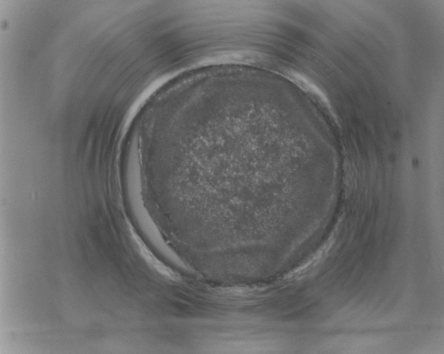 X0000075920792200610151905