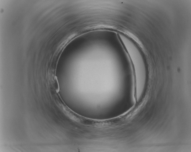 X0000075920793200610151905