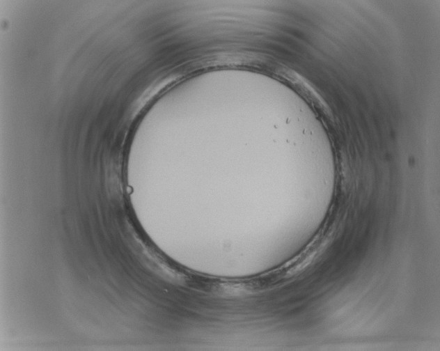 X0000075920794200610151905