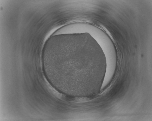 X0000075920795200610151905