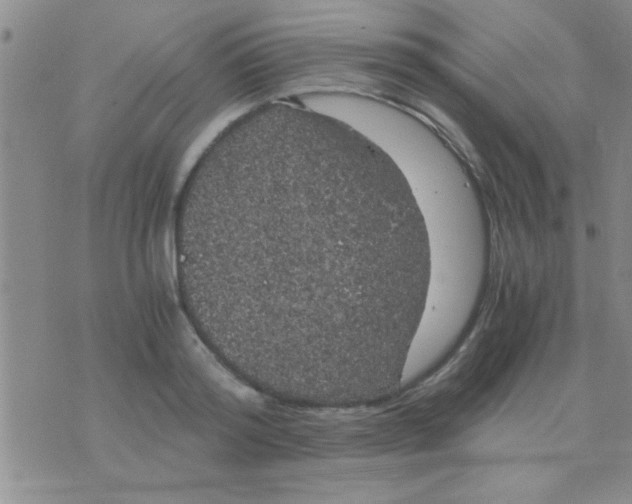 X0000075920796200610151905