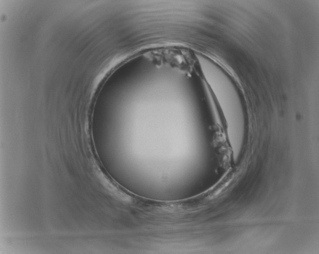 X0000075920797200610151905