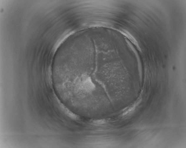 X0000075920798200610151905