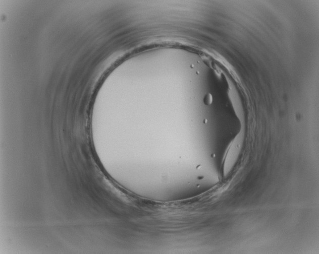 X0000075920799200610151905