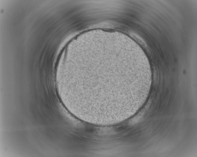 X0000075920800200610151905