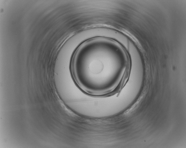 X0000075920801200610151905