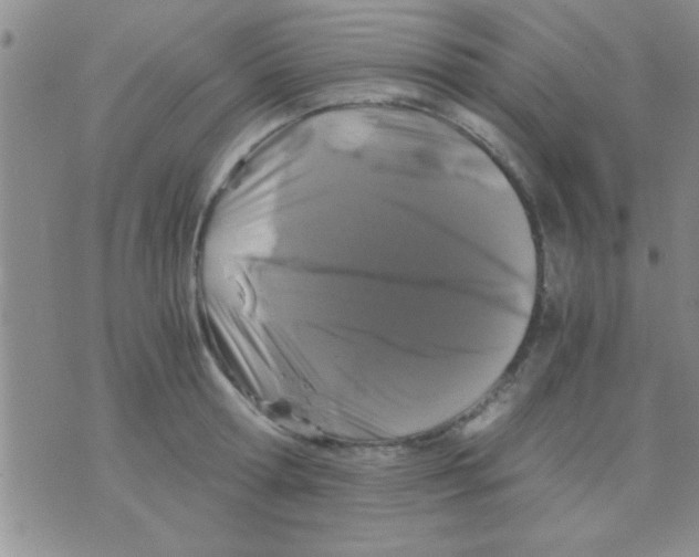 X0000075920802200610151905