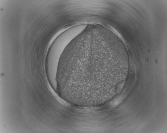 X0000075920803200610151905