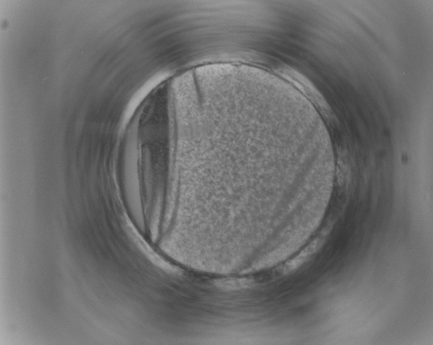 X0000075920804200610151905