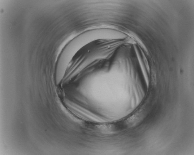 X0000075920805200610151905