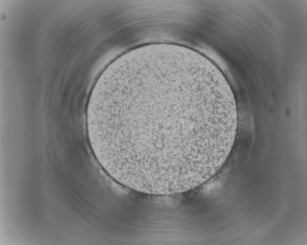 X0000075920807200610151905