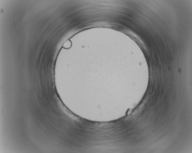 X0000075920808200610151905