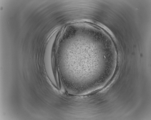 X0000075920809200610151905