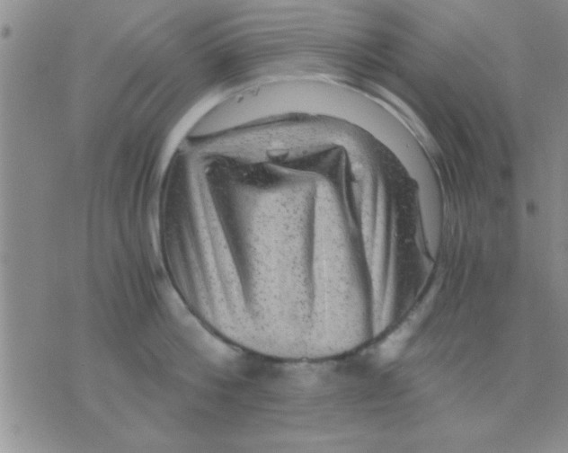 X0000075920812200610151905