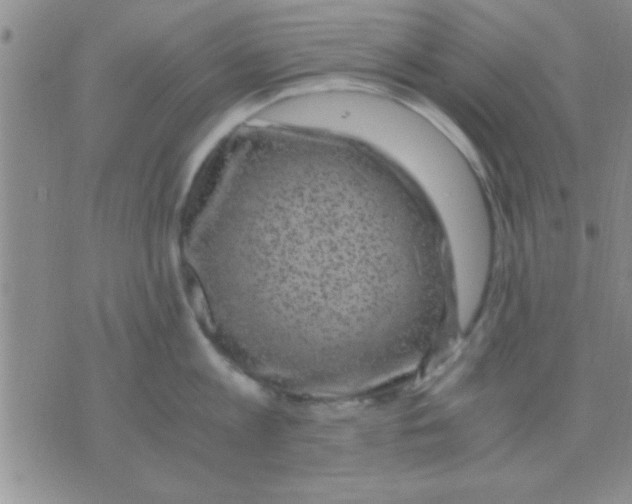 X0000075920813200610151905