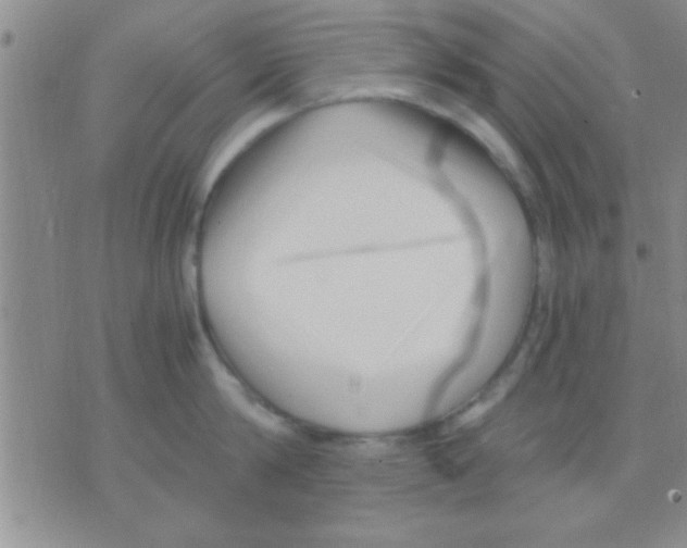 X0000075920814200610151905