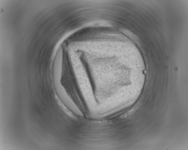 X0000075920816200610151905