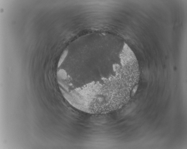 X0000075920817200610151904