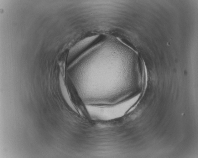 X0000075920818200610151904