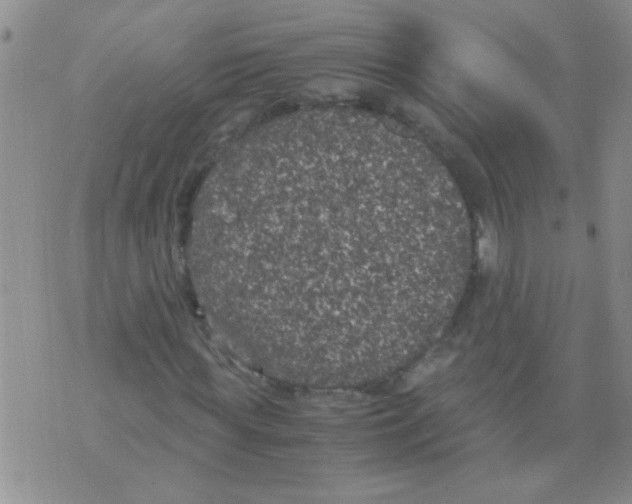 X0000075920819200610151904