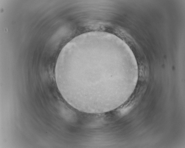 X0000075920820200610151904