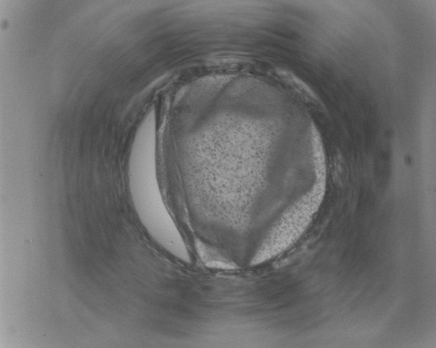 X0000075920821200610151904