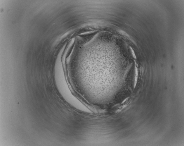 X0000075920822200610151904