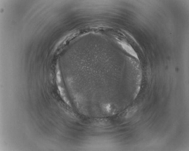 X0000075920823200610151904