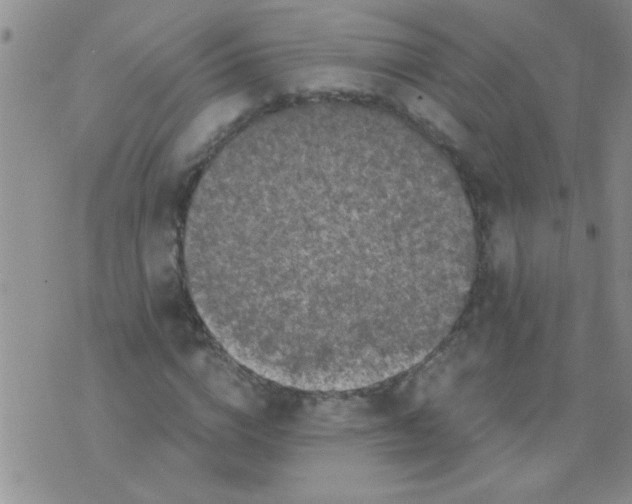 X0000075920824200610151904