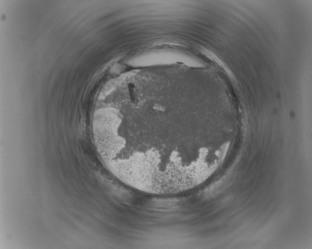 X0000075920825200610151904