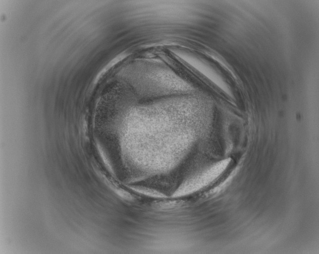 X0000075920826200610151904