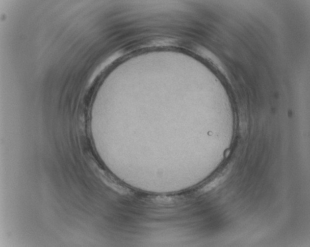 X0000075920827200610151904