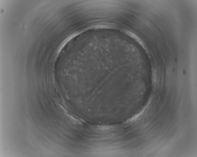 X0000075920829200610151904