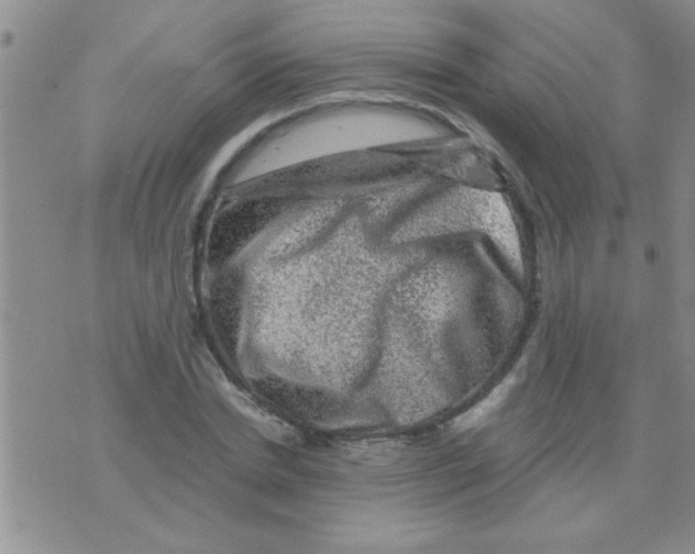 X0000075920830200610151904