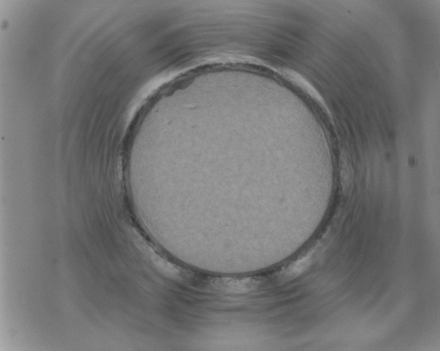 X0000075920831200610151904