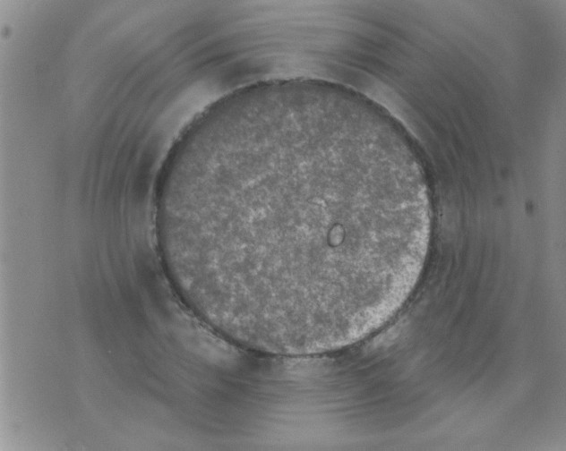 X0000075920832200610151904