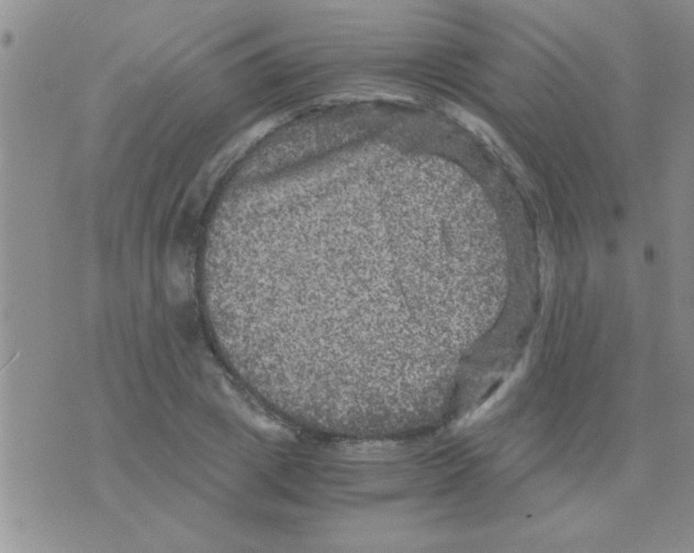 X0000075920833200610151904