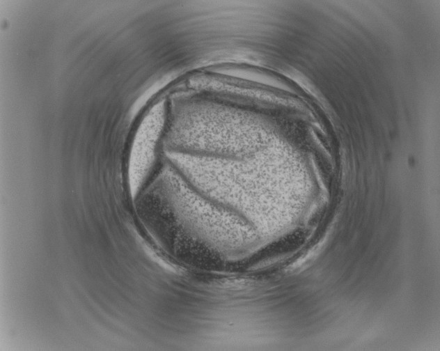 X0000075920834200610151904