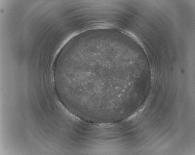 X0000075920835200610151904