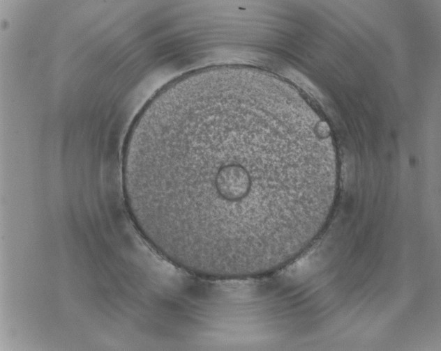 X0000075920836200610151904