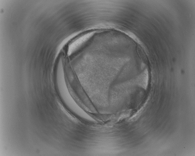 X0000075920838200610151904